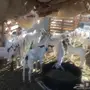 ملعز 60 تحتها 40