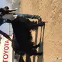 عنز عارضية متبع ب 2 