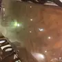 طاولة طعام للبيع 