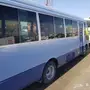 باص نيسان كوستر