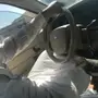 زوجين من الكروان 