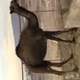 بكره ميت ولدها