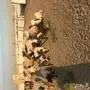 للبيع نعيم رغايث 