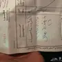 ششواهين ماكسس وجنوط هلل 