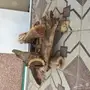 اكوام حطب
