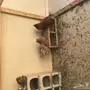 حمام مشكل ونظيف 