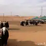 للبيع نجد جبره وسمان شرط