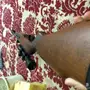 للبيع ام صتمه مقاس 90 