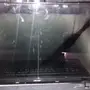 لابتوب acer للبيع