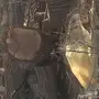 للبيع شجر أثل مقطوع