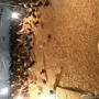 مكه المكرمه
