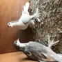 طبه شيرازي سوبر جامبو
