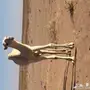 السلام عليكم عندي بكره وضحا البيع 