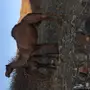 المدينه المنوره
