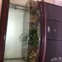 حوض سمك 