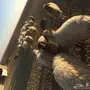 غنم نعيم للبيع  عدد 45