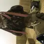 صقر وكري