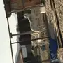 فحل للبيع