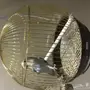 طير روز هدد 