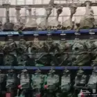 دفرنسات وكرونات  لجميع أنواع السيارة الحديثة 