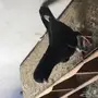 مفقود زوج تركي طيار 