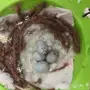 كناري منتج مع 4 بيضات وفرخين لون مميز