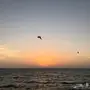 شاب يمني يبحث عن عمل 