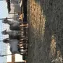 طليان سواكن مستقبل فحول فواخر