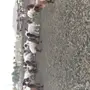 بهم نعيم طيبة مغلقة شحم 