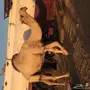 قعود مزيون من عيال الكنق 