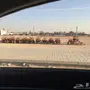 دبابات 