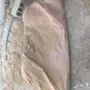 سليب باق