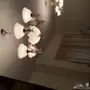 مكنبة و سراير و تليفزيون