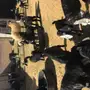 ماعز متابيع للبيع 