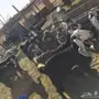 معزا للبيع