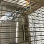 للبيع طيور الحب بادجي