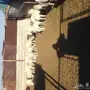   غنم حريات وليد منوة القناي