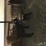 عنز تحتها جفرة 
