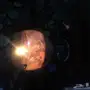 شمع جل
