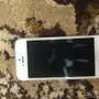 ايفون 5 