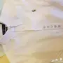 قميص رجالي بولو اصلي جديد 
