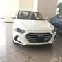 النترا طيس الوعلان 2018