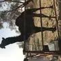 قعود لقي كفو لهل المزاين