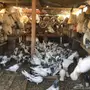 حمام باكستاني نظيييف