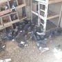 حمام لوت تفريخ  ومطير للبيع 