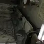 نور ليد على شكل فيش 