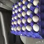بيض بلدي مخصب (17ريال) ...ضرماء