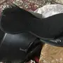 سرج ستيوس جديد 