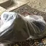 سرج ستيوس جديد باكياسه 