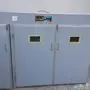 فقاسات صيني اكتروني